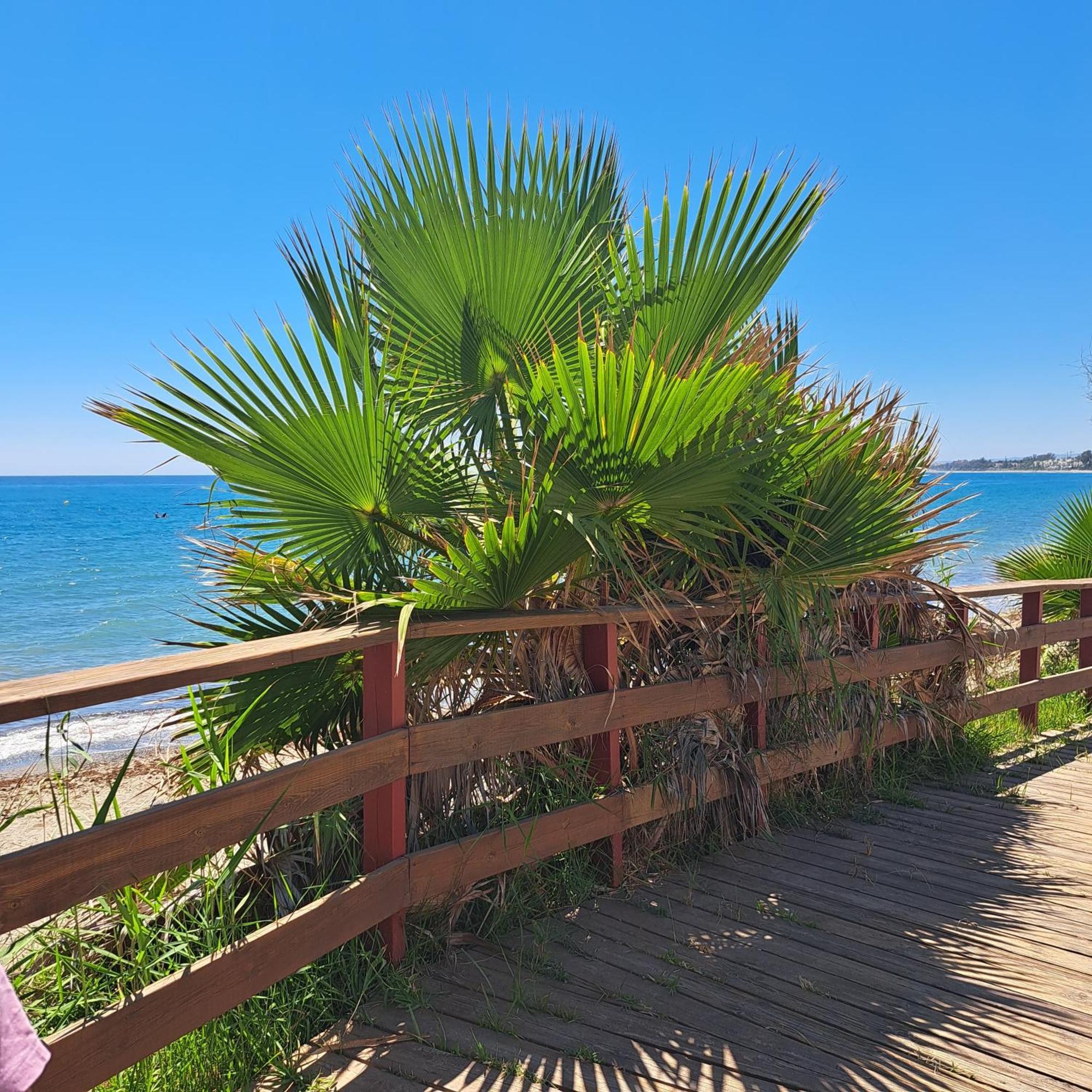 Hello Cosmo Lägenhet Estepona Exteriör bild